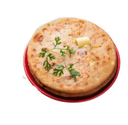 Plain Wheat Paratha